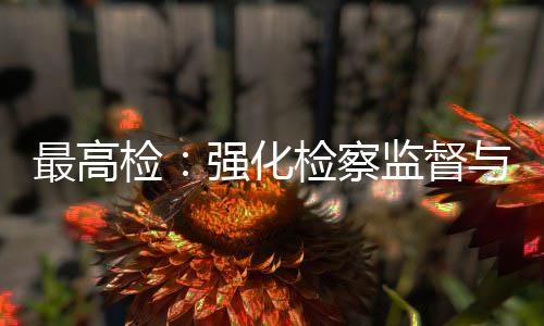 判联动行业最高与司法审检检察监督建筑监管强化