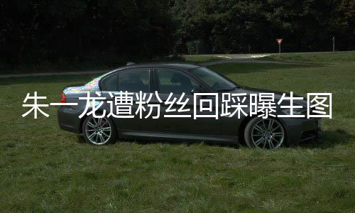 曝生龙遭龙粉踩是回踩回事朱一朱一怎么图 粉丝丝回