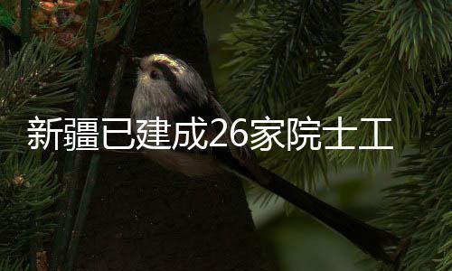 成2新疆站已建院士工作6家