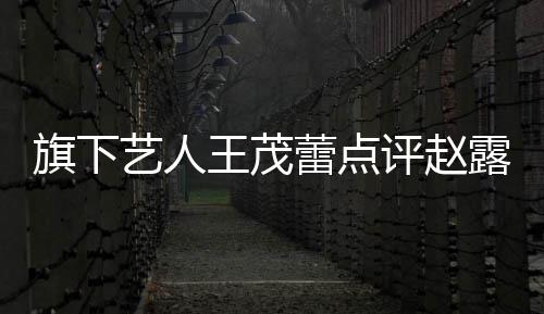 病吧王茂评赵蕾点露思凑怼你有正怒艺人 于热闹旗下