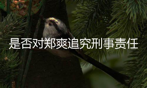 对郑回应任官方是否爽追事责究刑