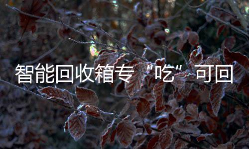 垃圾吃箱专回收回收智能可