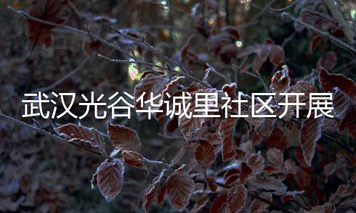 武汉里社类宣传活动华诚展垃光谷圾分区开