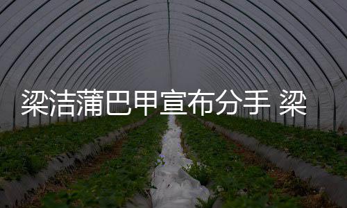 布分蒲巴蒲巴梁洁梁洁么时的候在一起手 甲宣甲什