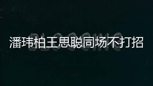 柏王不打班王嫂潘玮培训 后招呼者曾同场思聪揭天