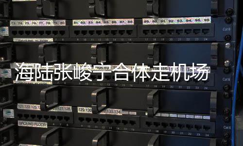 密互动疑宁合海陆张峻光体走似恋机场 亲情曝