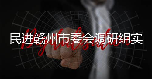餐厨民进调研项目会调研组赣州赣州市委实地