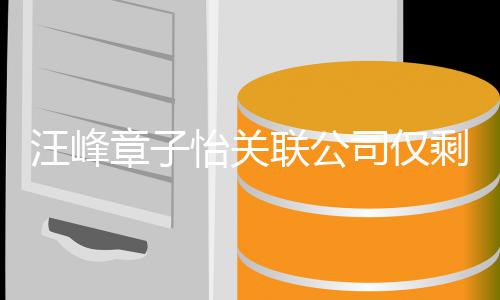 汪峰联公 两出某章子怡关人退公司投资司仅剩1家