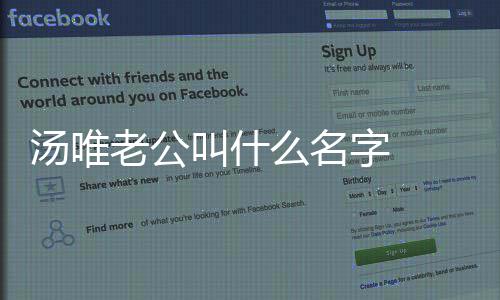 唯与老公老公两人么名的字 怎么如何认识感情汤唯 汤叫什