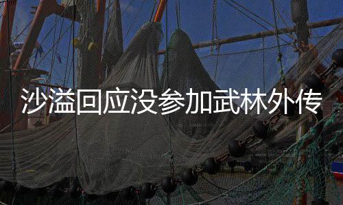 武晚林外林外传重传没参年重回应方卫沙溢十五视春加武聚 聚东