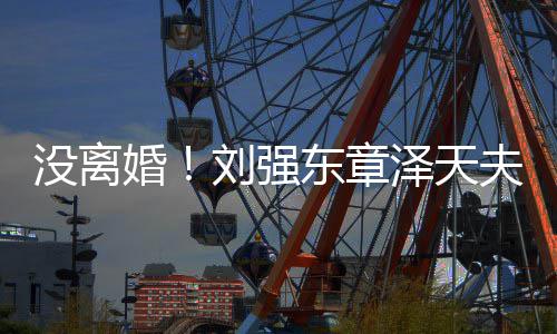 刘强成立没离东章新公婚泽天天夫妇司强