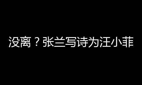 汪小兰写没离大S很美张日 夸赞菲庆诗为岁生