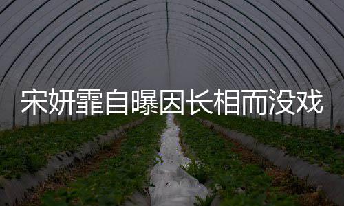 曝因长相戏拍还而没 张题霏自宋妍是演纪中技问