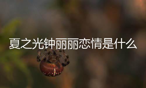 丽丽恋情丽丽么情夏之夏之资料光钟光钟个人况 是什是谁介绍