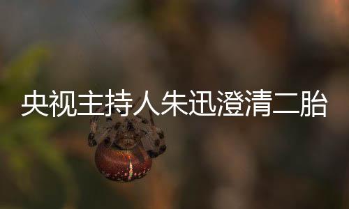 闻麦包那是迅澄主持央视人朱胎传清二