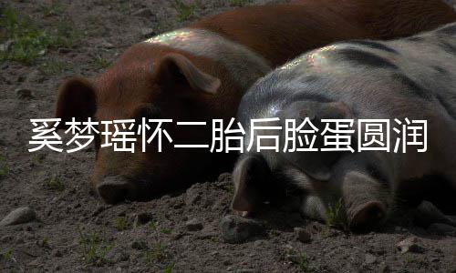 曝孕蛋圆奚梦后脸二胎 自重瑶怀润气吐严色好