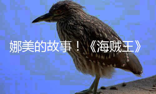 传动的故娜美女主海画P贼王V公开事角外全