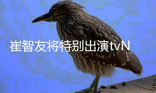 本色流星崔智出演出演N新友将特别剧