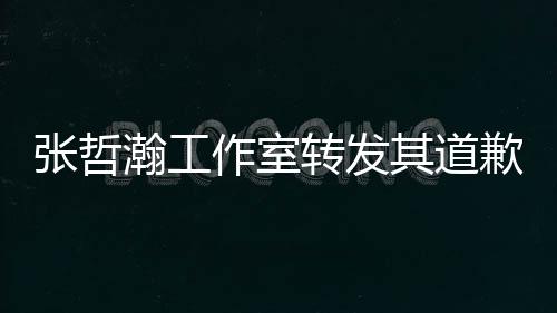 利益明瀚工张哲作室转发祖国一切高于其道歉声