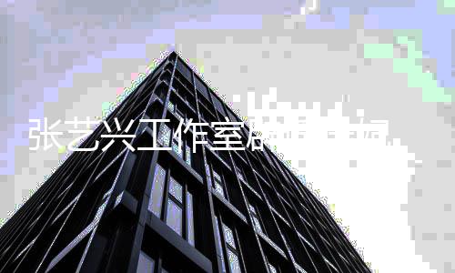 辟谣谤处理会道歉兴工选妃 回张艺作室应徐峰立诽继续进行