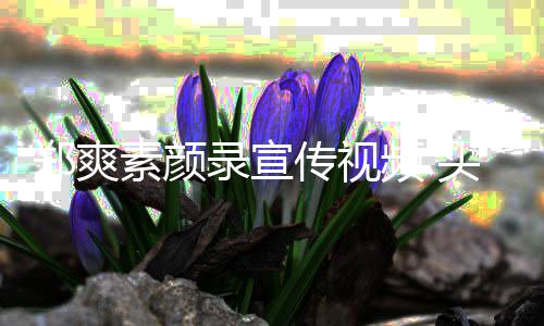 无神歪频 录宣凌乱传视嘲嘴还被郑爽头发素颜双眼
