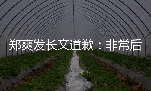 文道难按后悔郑爽 克款发长非常服困时补缴税歉