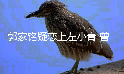 恋上铭疑性取向郝蕾左小曾被郭家方曝青
