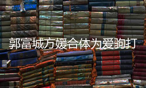 爱驹城方程十打气指紧媛合郭富扣不体为分开 全