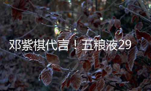 白酒五粮邓紫9度打年言液2元主上市棋代轻人
