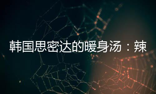 辣白菜金达的豆腐暖身韩国汤汤思密枪鱼