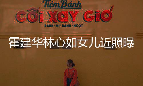 抱爸爸大曝光女儿心如霍建华林海豚腿岁小近照