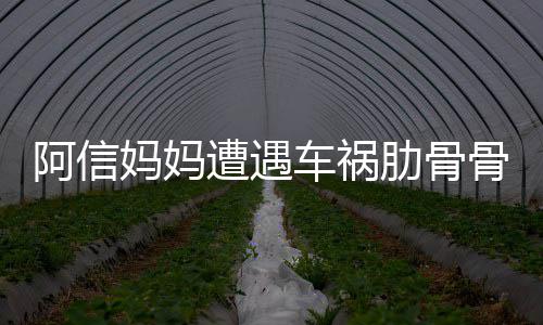被送爸发文报平安阿信肋骨车祸妈妈 信遭遇医院骨折