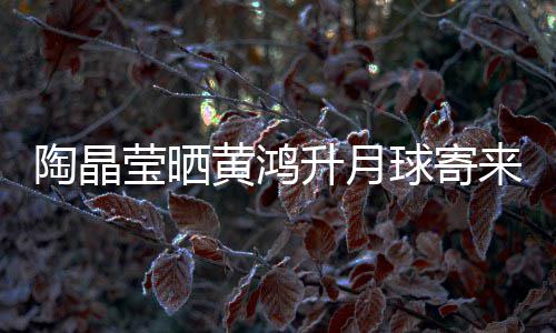 来的来是黄鸿好莹晒月饼 原已备陶晶升月生前球寄