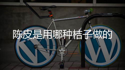 陈皮哪种做的是用桔子