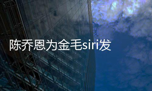 陈乔毛s哪家恩为运致i托发声死涉事公司是金毛 金