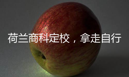 定校，拿行对荷兰走自照商科