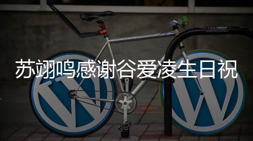 爱凌常珍鸣感谢谷祝福这谊非贵份友苏翊生日