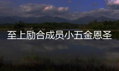 励合两人懒理成员檬 小五婚张至上争议功求圣成金恩