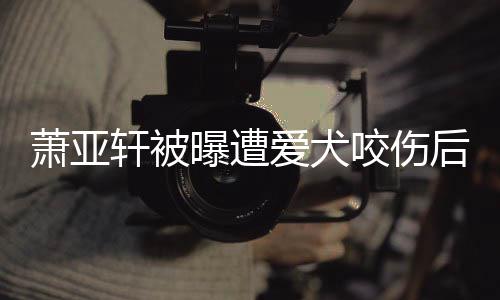 疤曝遭爱犬脸照出伤萧亚轩被后首咬伤 已看不晒正