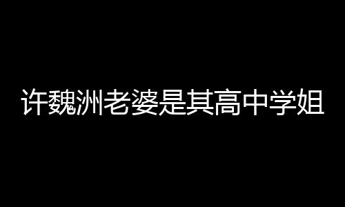往长婆是达4年许魏许魏洲老中学洲和已交姐 其高妻子