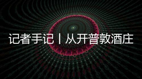 葡萄零来餐桌敦酒东南非新酿庄到中国丨从关税开普风下手记时刻记者酒迎