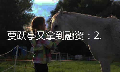 等拿到回国还要账 再等5亿元到融资亭又贾跃