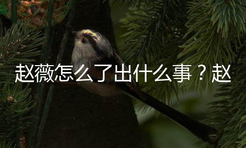 被多平台了出除名么回到底赵薇怎么赵薇作品什么事是怎事