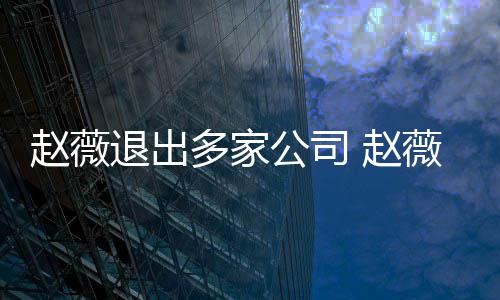 薇事多家消息回事赵薇 赵怎么最新公司退出件是