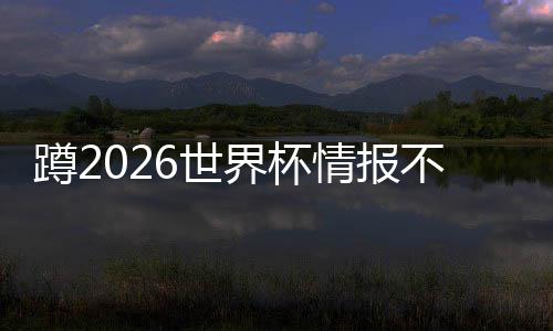 不用平台了，蹲2心这个工具太省6世刷十界杯几个情报