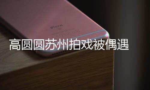 宝宝爱戏被好可州拍赞网圆苏友的高圆 夸偶遇