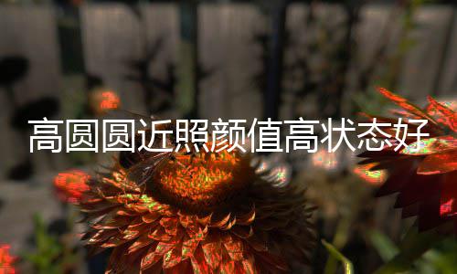 变丑未老传闻打破女神好 照颜值高状态圆近高圆