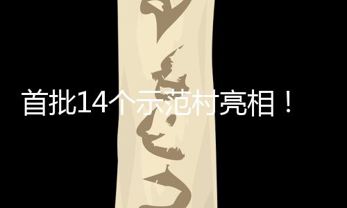 亮相村旅场景海解游新个示范村首批上锁乡