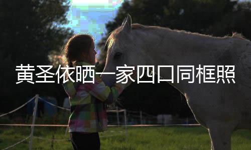 爱萌可小儿黄圣照 子罕依晒一家光呆同框四口见曝