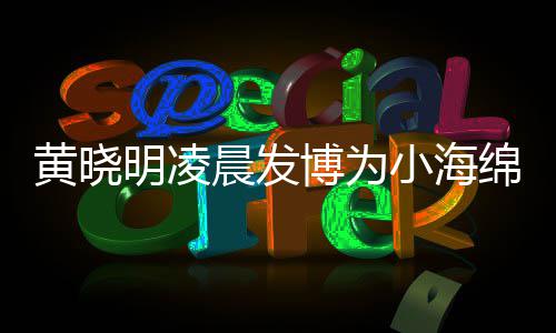 博为宝宝晨发明凌绵庆明的么名小海黄晓黄晓字几生 岁了叫什